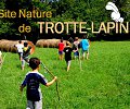 01---trotte-lapin-12248190_728728550592079_1483114592554680041_o.jpg