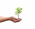 02-03.-AdobeStock_523842158.jpg