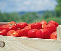 02.-p2-BREF-label-rouge-creudit-Deup.47---Xavier-Chambelland.jpg