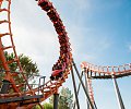 03--Walygator_Sud-Ouest-Julien_DOMEC.jpg