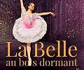 03-belle-au-bois-dormant.jpg