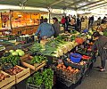 03.-agriculture----marche_02.jpg