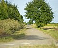 04---voie-verte_VSL-2.jpg