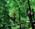 05---happy-forest-accro-Kika-Sophie-Arnaud-1536x1028.png