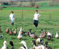06---demaret-parc.png