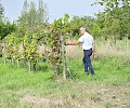 06-07---Domaine-agroecologique-de-barolle-dept-47---XC.jpg