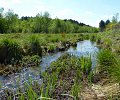06-07---ENS-Rieucourt-restauration-zone-humide-sepanlog.jpg