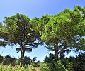 07---_XCG5958.jpg