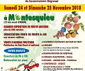 11-Affiche-fete-de-l-arbre-montesquieu.jpg
