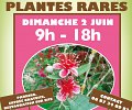 11-fetes-plantes-rares.jpg
