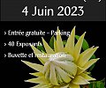 11.-feete-des-plantes.jpg