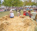 11.-journeue-eulevageXCD_6992-OK-800px.jpg