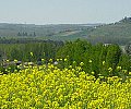 13---A95-Bouglon-vu-du-Grezet-2-db.jpg