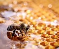 18-19---AdobeStock_464512300.jpg