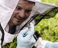 18-19--laureuat-du-concours-photo-apiculture-louis-Michel-Grevent-800px.jpg