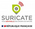 18-19.-Suricate.jpg