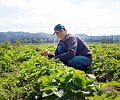Accompagner-les-territoires-et-les-agriculteurs.jpeg