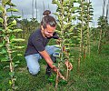 Agriculteur.JPG