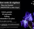 CABOUGE_Bouillon_fete-des-plantes.jpg