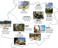 Carte.png
