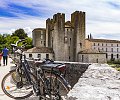 Decouverte_de_l_Albret_en_velo_via_la_Scandiberique-OT_Albret-1196.jpg