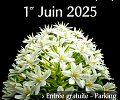 Fete-des-plantes-de-Lamontajoie.jpg