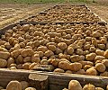 IMG_0119tt.jpg