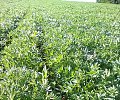 WP_20170508_005.jpg