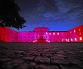 cg47-rose-2.jpg