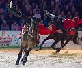 cheval-photo.jpg