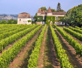 page-18----frandat-chateauvignes1.png