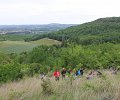 page-2--Castelmerle_ENS_Villeneuve_Hautefage_FdlN_2018-88.jpg
