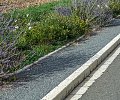 trottoir---Nomdieu_XCD5677-2.jpg