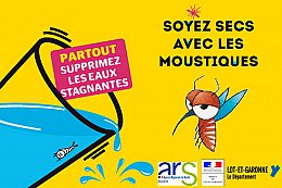 Actu_Moustique_tigre.jpg