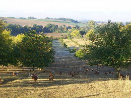 ER_Parcours_Bourdens-copie.jpg