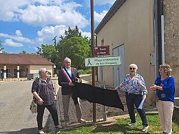 marcellus-ville-ambassadrice-don-organes.jpg