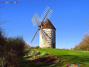 Moulin des 3 moulins, à Beaugas.
Le moulin existait déjà au XVIIe siècle
avec deux autres, aujourd’hui disparus.
Il a bénéficié d’une importante
restauration par ses propriétaires dans
les années 1980.
Moulin à vent ouvert les 19 et 20 mai
(10h - 12h / 14h - 18h)