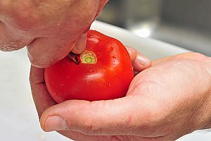 Préparer les tomates.
