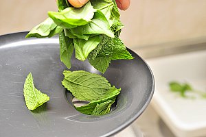 Passer les tomates, les feuilles de menthe, le basilic…