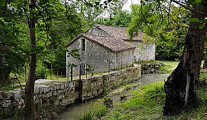 Moulin de Bordes, à Laugnac
Il possède les caractéristiques des moulins des XIIe et
XIIIe siècles. Son étage est cependant plus récent. Le
visiteur peut admirer le matériel qui est encore en place
dans la salle des meules mais pas en fonctionnement.
Dans un petit bâtiment contigu : un moulin à huile à
meule verticale et une partie du pressoir.
Moulin à eau ouvert le 20 mai (10h - 12h / 14h - 18h)