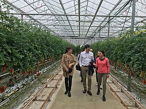 Andiran. Visite des serres de la famille Binda, producteurs de tomates réputés pour leur savoir-faire innovant et respectueux de l’environnement avec Nicolas Lacombe et Marylène Paillarès.