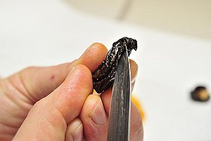 Inciser le pruneau en deux.