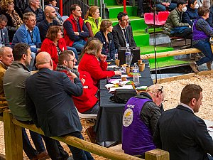 Sur le ring, les juges ont apprécié la qualité de mouvement de Oups. « Son allure et son déplacement devaient être élégants. » Ensuite, ils se sont intéressés aux différents critères de la race Blonde d’Aquitaine. « Il y a de nombreux points de notation. Par exemple, la couleur qui doit être froment pommelée, avec des nuances pour la tête et les membres. » Côté morphologie, les critères ne manquent pas non plus ! « Les juges recherchent des animaux complets et équilibrés, avec une harmonie musculaire. » © Thomas Astruc