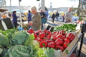 Accompagnement des filières agricoles