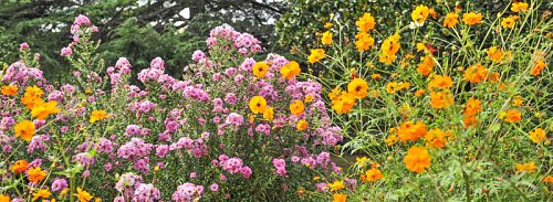 10.-villes-et-villages-fleuris-_XCG6936-OK-800px.jpg