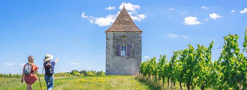 18-19.-Randonnee_dans_les_vignobles_de_Saint-Astier-Agence_Les_Conteurs-4409-800px.jpg