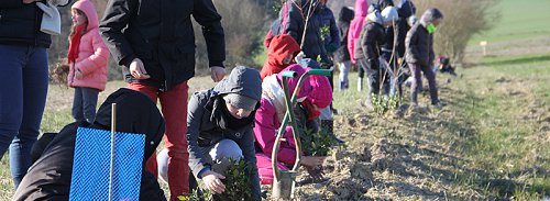 CUQ_plantation-haie_ADPR_2018-101-800px.jpg