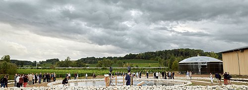 Jardin-des-filtres-3.jpg