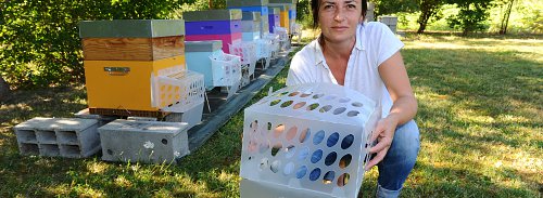 en-grand-page-10---Jean-michel-mazet---stop-it.JPG