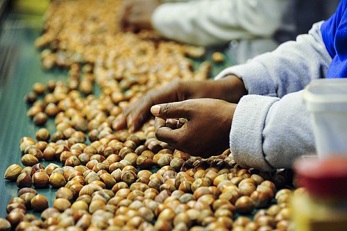 Agriculture